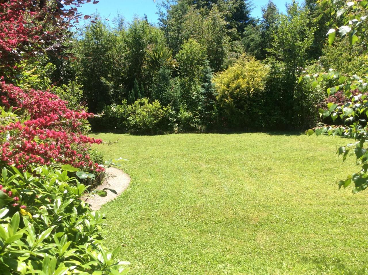 Complejo Cabanas Petalos Villarrica Exterior foto